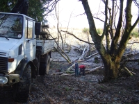  but we need to get it out the gully first
